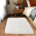Small Area Rug, 2x3 Rug for Bedroom Shaggy Throw Rugs for Dorm Rug, Soft Shag by Quntue