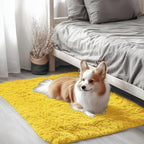 OLANLY 2x3 Machine Washable Small Bedside Rug, Soft Fluffy Shaggy Entryway by OLANLY