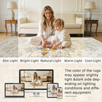 6x9 Area Rugs for Living Room: Vintage Boho Neutral Washable Rug Indoor Soft - Image 5