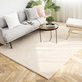 Ashler Faux Fur Rug, Ultra Soft Faux Rabbit Fur, 5 x 7 Feet Rectangle, Machine by AshlerHomeDeco