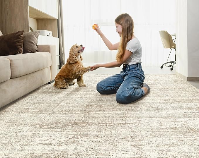 5x8 Area Rug Living Room Rugs - Image 4