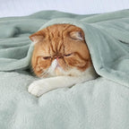 Bedsure GentleSoft Twin XL Fleece Blanket Dorm Bedding - Image 2