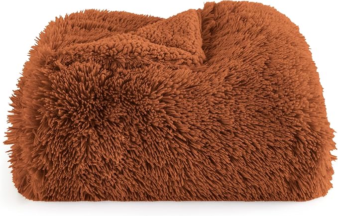 Bedsure GentleSoft Fuzzy Sherpa Faux Fur Twin Blanket Burnt Orange Cozy Gifts - Image 7