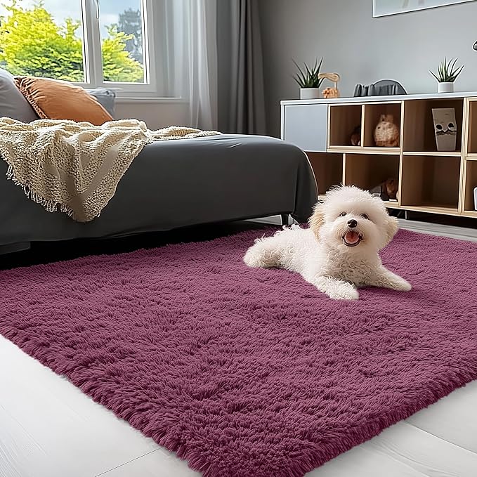 OLANLY 3x5 Machine Washable Small Bedside Rug, Soft Fluffy Shaggy Rugs by OLANLY