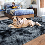 Rugs for Living Room 6x9, Soft Shaggy Modern Shag Area Rug for Bedroom - Image 3