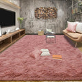Tepook Super Soft Fluffy Rugs for Living Room, Shag 6x9 Area Rugs for Bedroom by Tepook