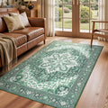 Rugflix 3x5 Area Rugs for Living Room, Machine Washable Rug Non Slip Stain by RugflixAreaRugs
