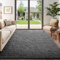 Ophanie 5x7 Area Rugs for Living Room Grey, Fluffy Shag Large Fuzzy Plush Soft by Ophanie