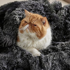 Bedsure GentleSoft Fluffy Black Blanket Cozy Gifts - Image 9
