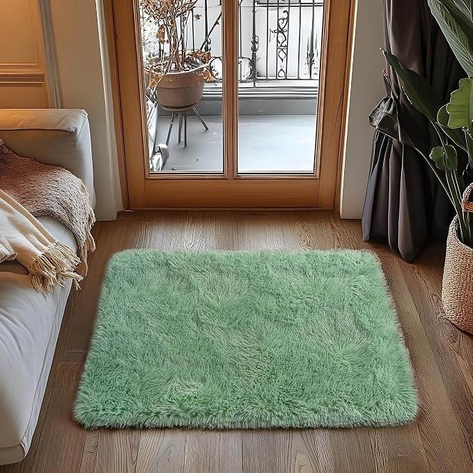 Small Area Rug, 2x3 Rug for Bedroom Shaggy Throw Rugs for Dorm Rug, Soft Shag - Image 2