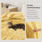 Bedsure GentleSoft Fluffy Yellow Throw Blanket, Room Decor Yellow Gifts - Image 3