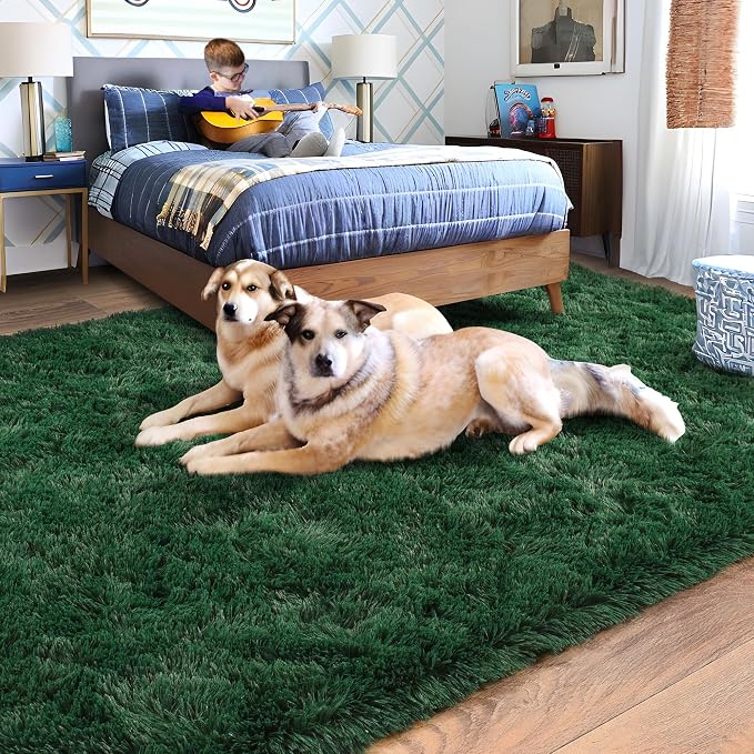 Rugs for Living Room 5x7, Soft Shaggy Modern Shag Area Rug for Bedroom - Image 3