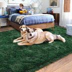Rugs for Living Room 8x10, Soft Shaggy Modern Shag Area Rug for Bedroom - Image 3