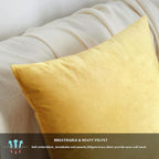 GIGIZAZA Decorative Throw Pillow Covers 16x16, Velvet Sofa Boho Cushion Pillows - Image 5