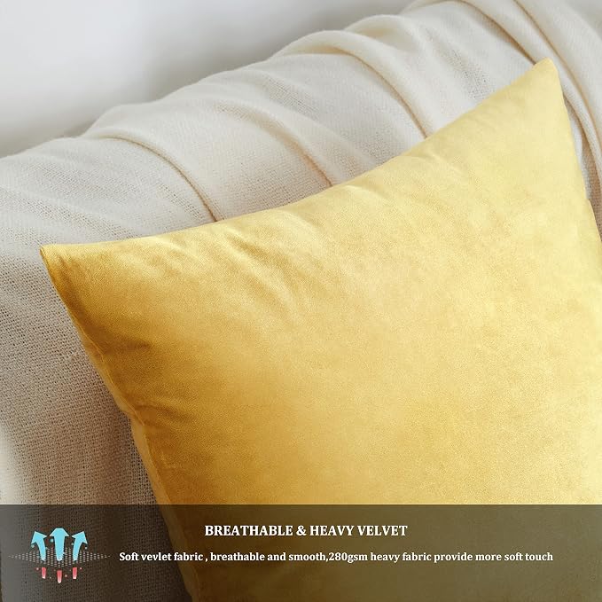 GIGIZAZA Decor Throw Couch Pillow Covers, Velvet Pillow Cases 24 x 24inch - Image 6