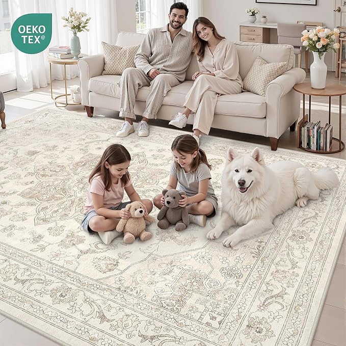 6x9 Area Rugs for Living Room: Vintage Boho Neutral Washable Rug Indoor Soft - Image 8