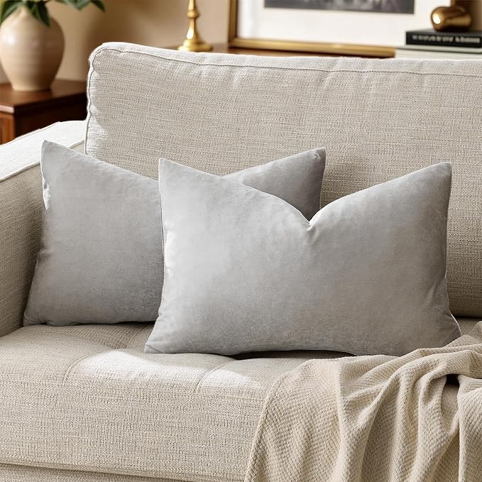 Silver Grey Velvet Decorative Throw Pillow Covers by GIGIZAZAFocusingonhomedecoration
