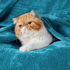 Bedsure GentleSoft Fleece Blanket Twin Size Teal - Image 2