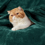 Bedsure GentleSoft Fleece Blanket Twin Size Emerald Green - Image 2