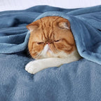 Bedsure GentleSoft Fleece Blankets King Size Washed Blue - Image 2