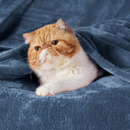 Bedsure GentleSoft Fleece Throw Blanket Mineral Blue - Image 2
