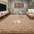 Tepook Area Rugs 10x14 for Living Room, Super Soft Fluffy Rugs for Bedroom by Tepook