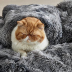 Bedsure GentleSoft Fluffy Sherpa Fleece Faux Fur Blankets Queen Size - Image 8