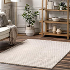 Nuloom Nia Beige, Cozy Shag, Fluffy and Soft, High Traffic, Stain Resistant by nuLOOM