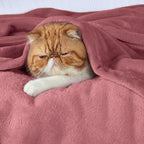 Bedsure GentleSoft Fleece King Size Blankets - Image 3
