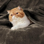 Bedsure GentleSoft Fleece Blankets Queen Size Brown - Image 2
