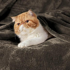 Bedsure GentleSoft Fleece Blanket Twin Size Brown - Image 2