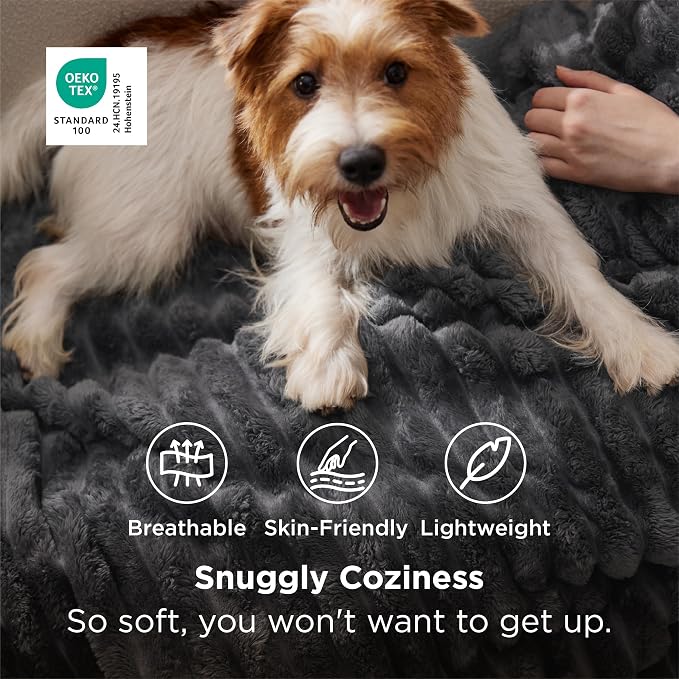 Bedsure GentleSoft Grey Fleece Blanket - Image 2