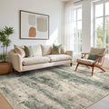 BEIMO Area Rugs 5x7 for Living Room Bedroom, Modern Abstract Machine Washable by BEIMO