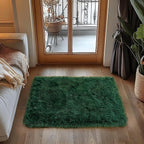 Small Area Rug, 2x3 Rug for Bedroom Shaggy Throw Rugs for Dorm Rug, Soft Shag - Image 2