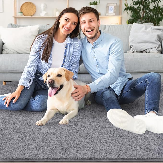 AROGAN Modern Shag Area Rug for Living Room, 6x9 Feet Washable Rugs for Bedroom - Image 8