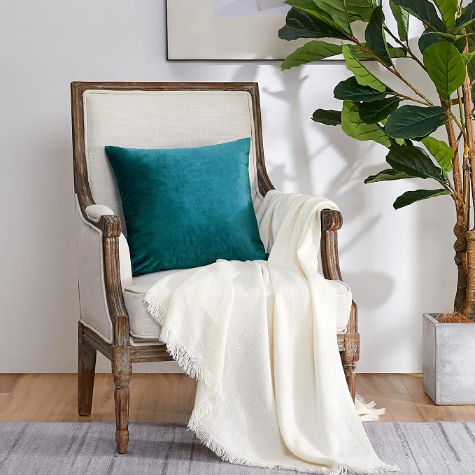GIGIZAZA Decorative Couch Throw Pillow Covers, Pillow Cases Velvet Pillow Covers - Image 8