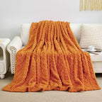 Aganear Blanket Queen Size - Image 4