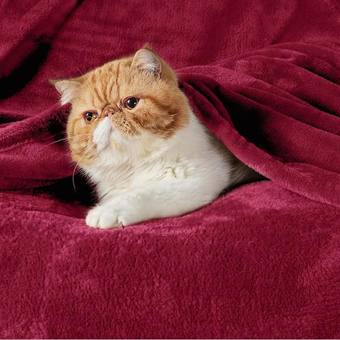 Bedsure GentleSoft Fleece Throw XL Blanket Red - Image 2