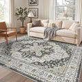 Madane 6x9 Area Rugs for Living Room, Stain Resistant Washable Rugs, Non-Slip by Madane