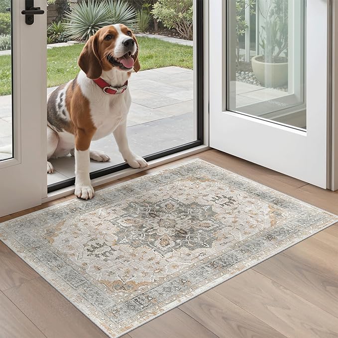 Madane Washable Area Rug 2x3, Small Entryway Rug Non-Slip Vintage Door Mat by Madane